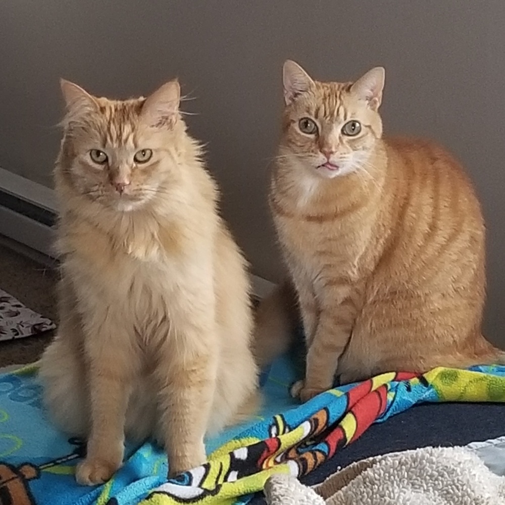 Meet your Posher, Natasha